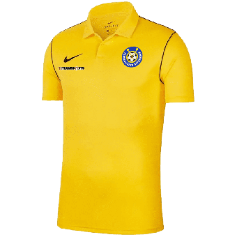 FC Steckborn Nike Park 20 Poloshirt | Erwachsene in gelb  