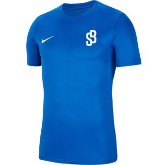 FC Schinznach-Bad Nike Park VII Trikot | Erwachsene in Royal Blau  